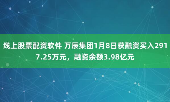 线上股票配资软件 万辰集团1月8日获融资买入2917.25万元，融资余额3.98亿元